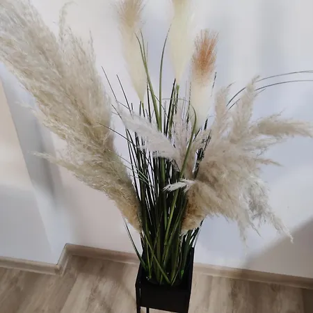 Sofija Apartment Banja Koviljaca