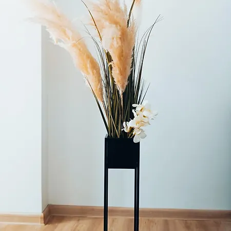 Sofija Apartment